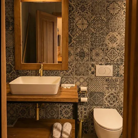 Hotel Protino *