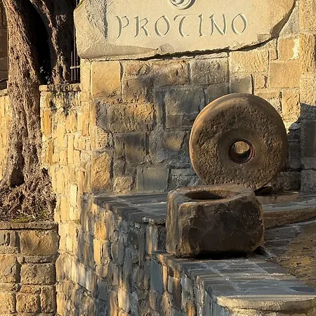 Hotel Protino